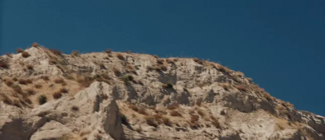 Attention by Winona FIghter