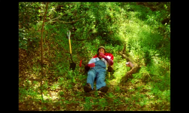 2025 Film Cinematography Reel