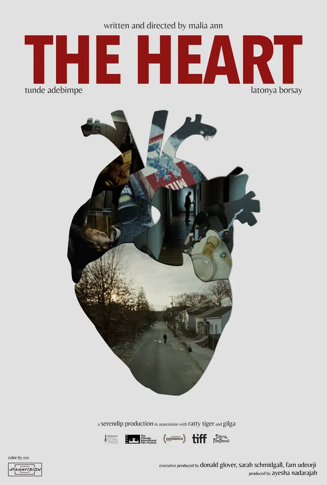 The Heart