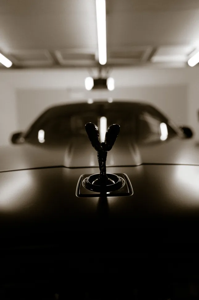 Project image