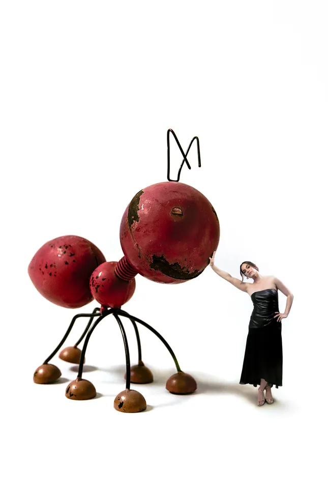 Project image