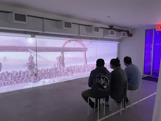 Project image