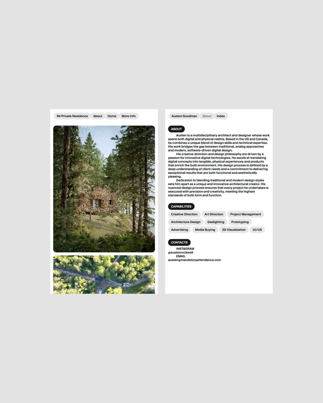 Project image
