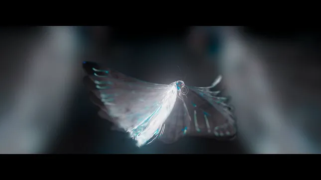 The Smashing Pumpkins Live Tour Visual