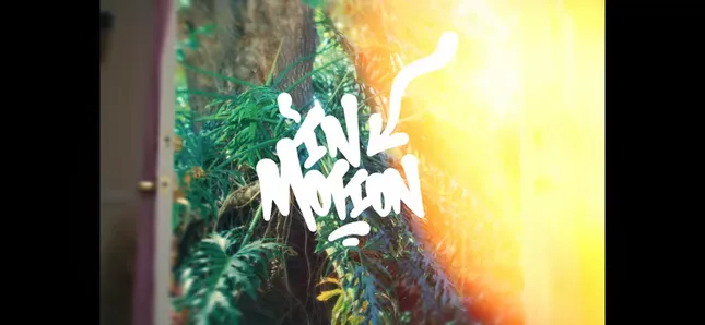 In Motion - Alé Araya