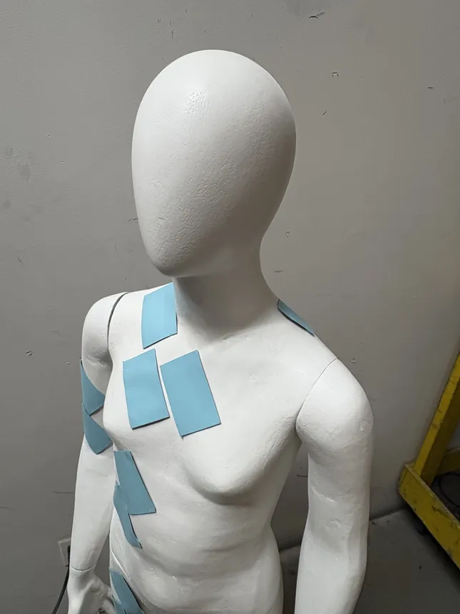 Project image