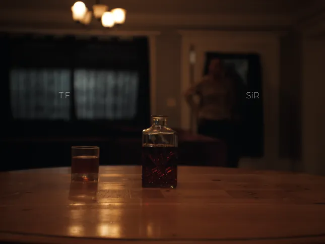 T.F - What It Is ft. SiR