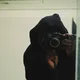 M  Avatar