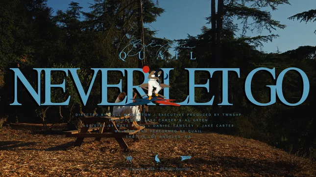 Quail P - Never Let Go