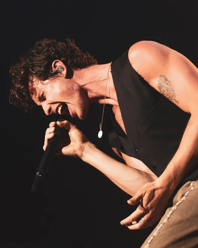 Shawn Mendes at Lollapalooza India