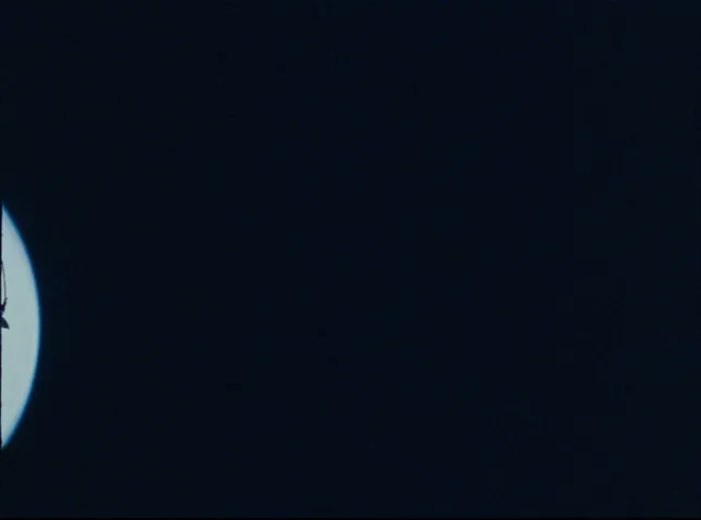 Reese Cooper Outdoor Supply SS26