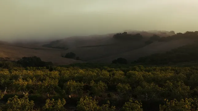 Agriculture reel
