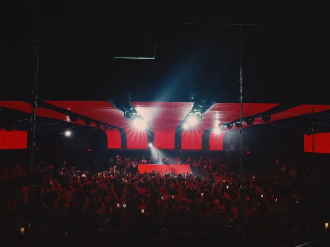 Swimming Paul - Academy LA