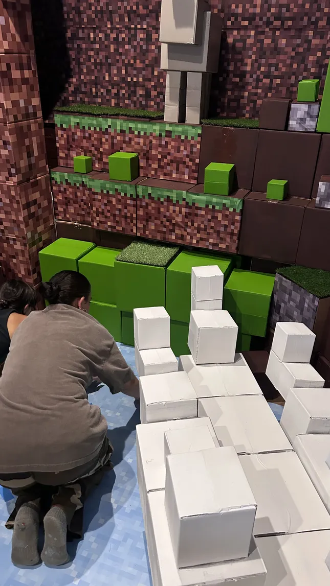 Project image