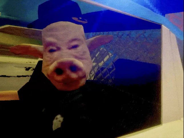 Project image