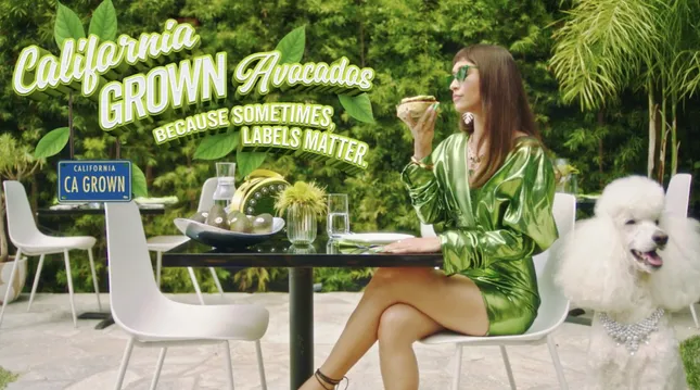 California Grown: Avocados
