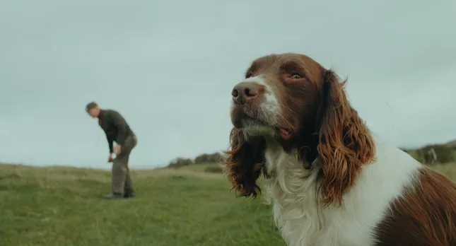 Frank and His Dogs