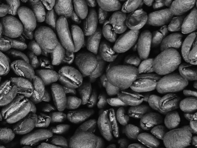 Newground Coffee
