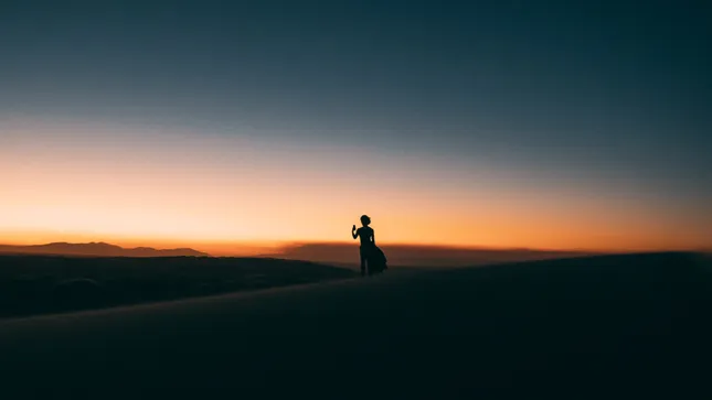 Wanderer
