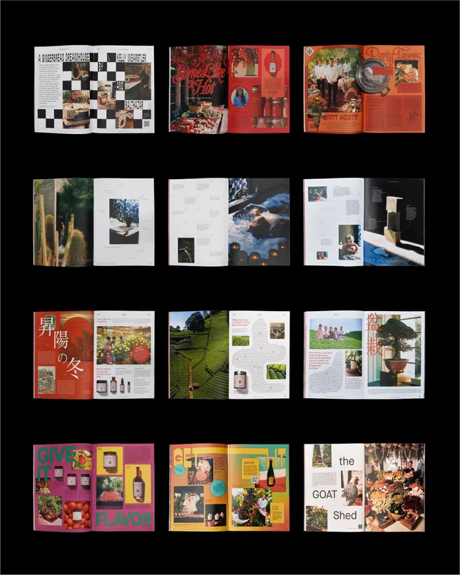 Project image