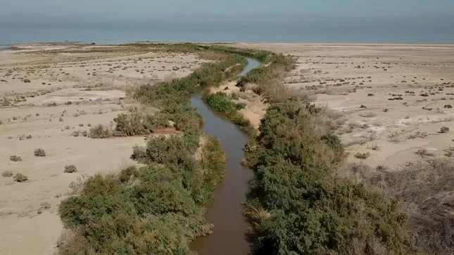 The Drying Salton Sea