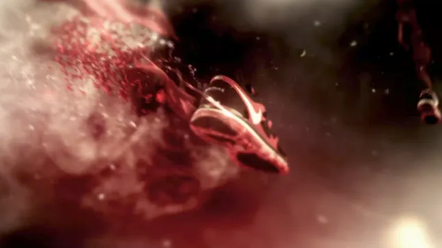 Nike: Airmax