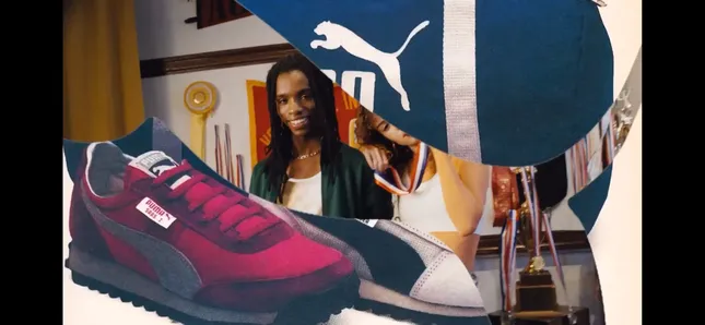 PUMA Playback