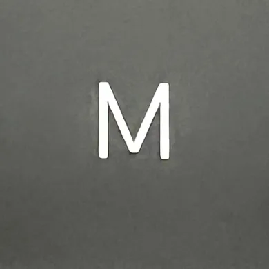 MV  Avatar