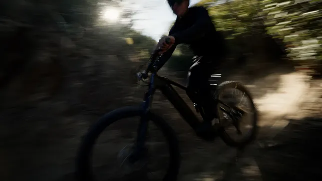 Pedego | Elevate V2