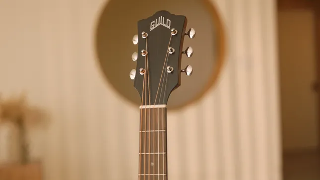 Guild 300 Series Guitars