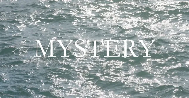 Mystery: Kacie Brown and The Vision