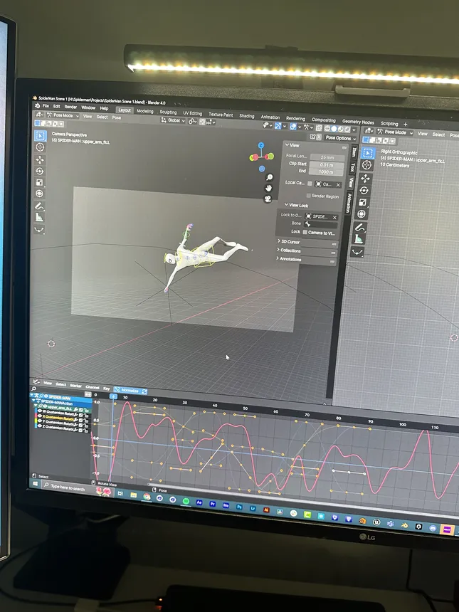 Project image