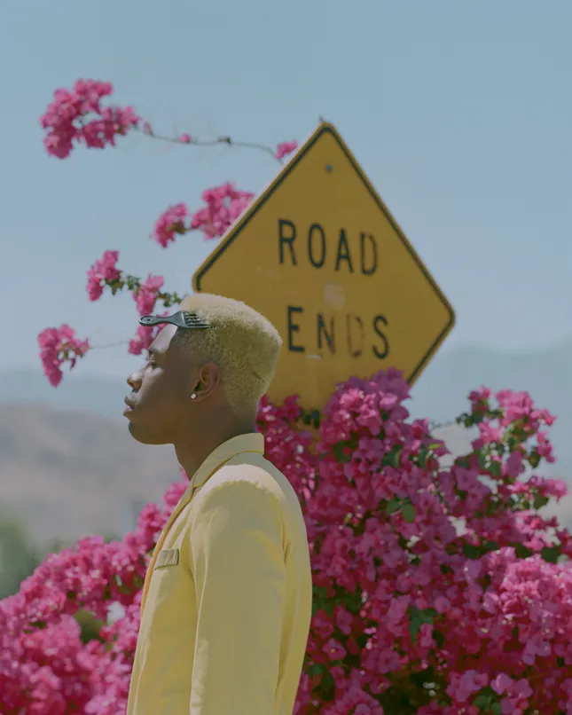 Tyler the Creator (Sony Music / Columbia Records)