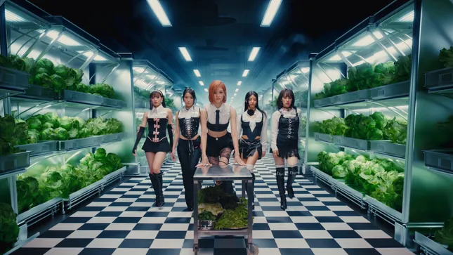 F5ve - Lettuce
