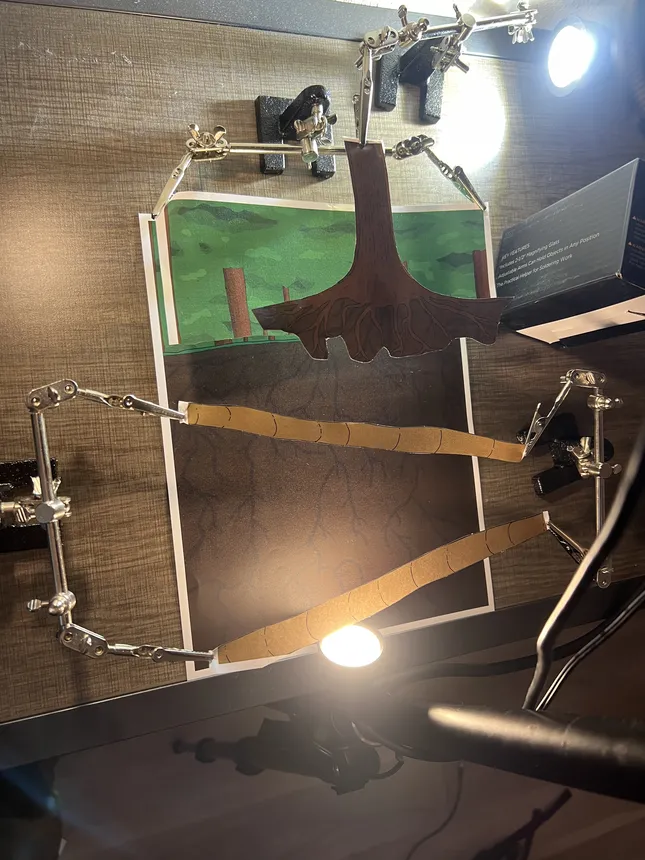 Project image