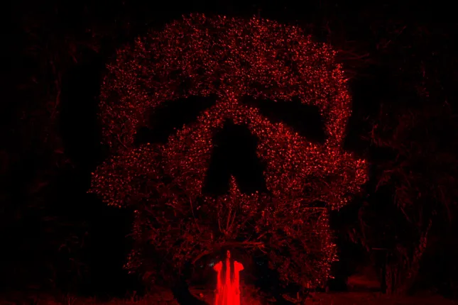 Le Mal • Red Maple Door - Music Video