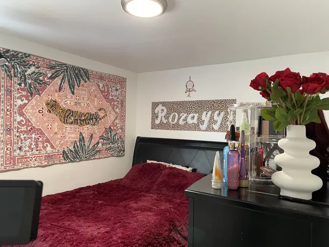 Rozayy So Unfiltered