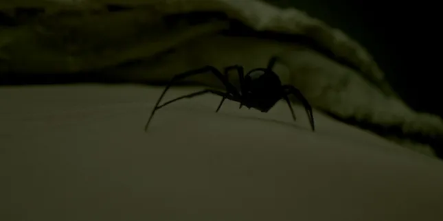 The Red Hourglass - Teaser Trailer