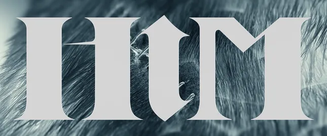 HIM [2025]