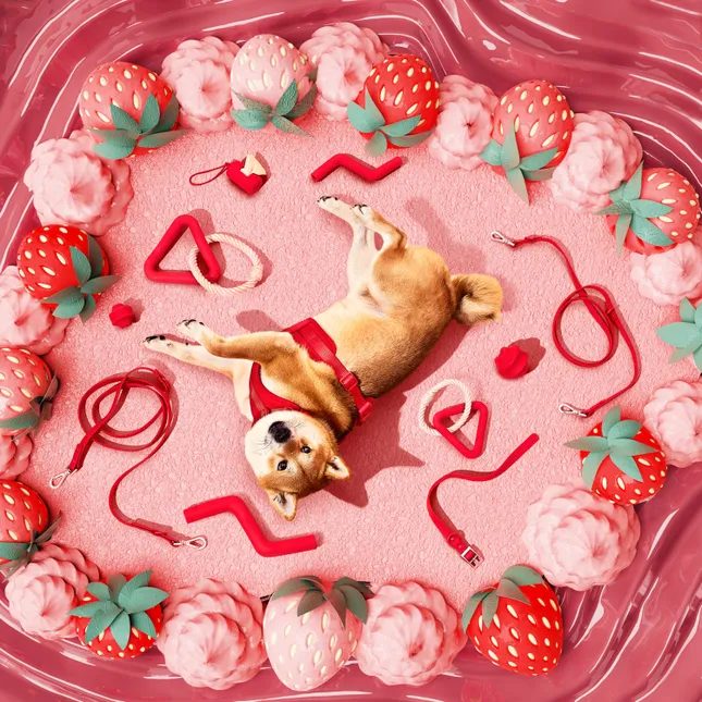 Wildone Strawberry
