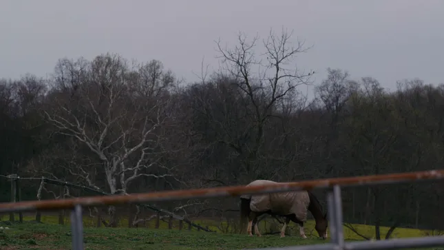 Woolrich x One of These Days Campaign Video
