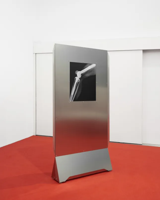 “Flesh And Metal, A Prosthetic Decade”