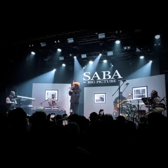 The Big Picture Tour                      w/ SABA