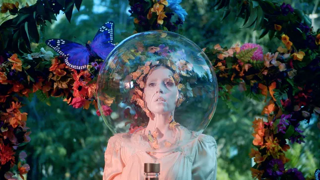Absolut Vodka | Seasonal Dreaming