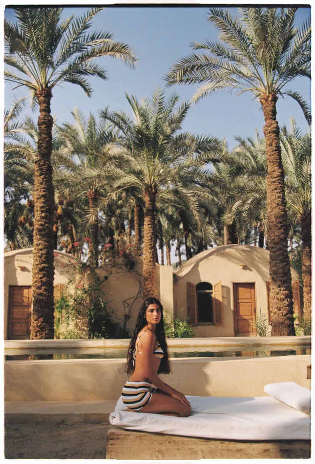 Tropic of C in Egypt