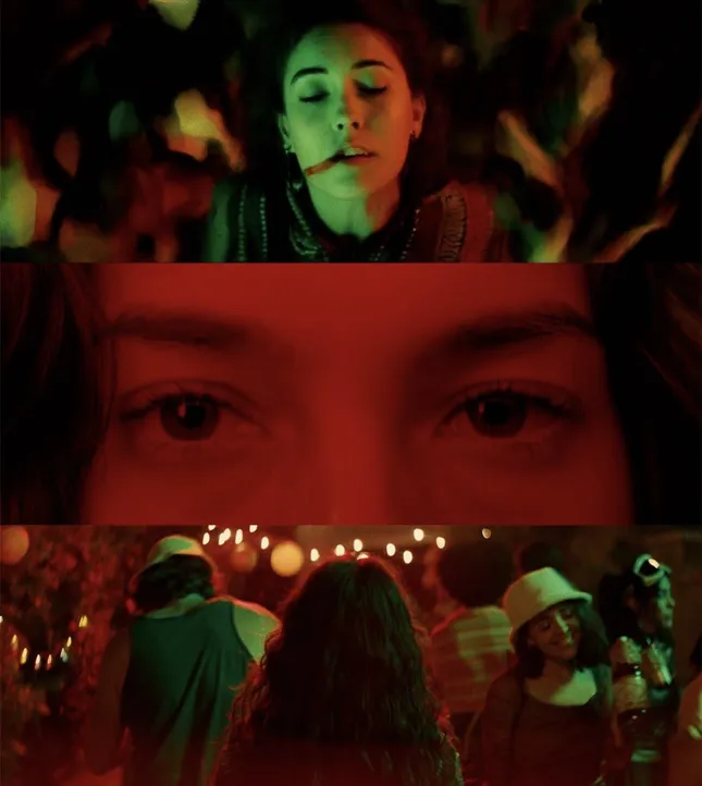 Sublime “Smoke Two Joints” Music Video