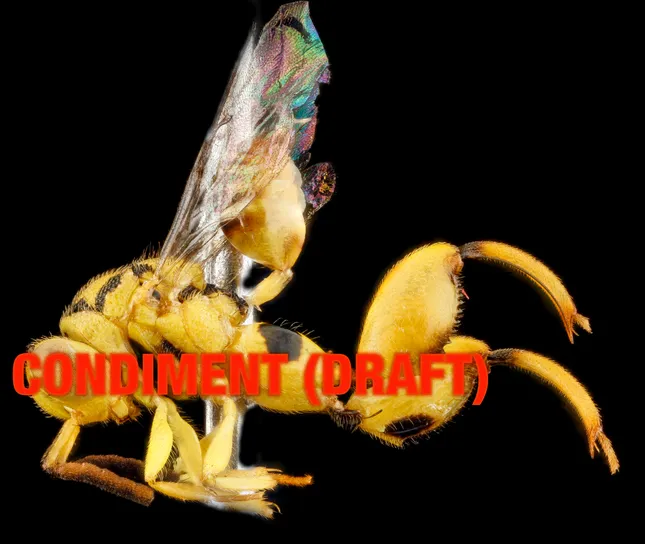 Project image