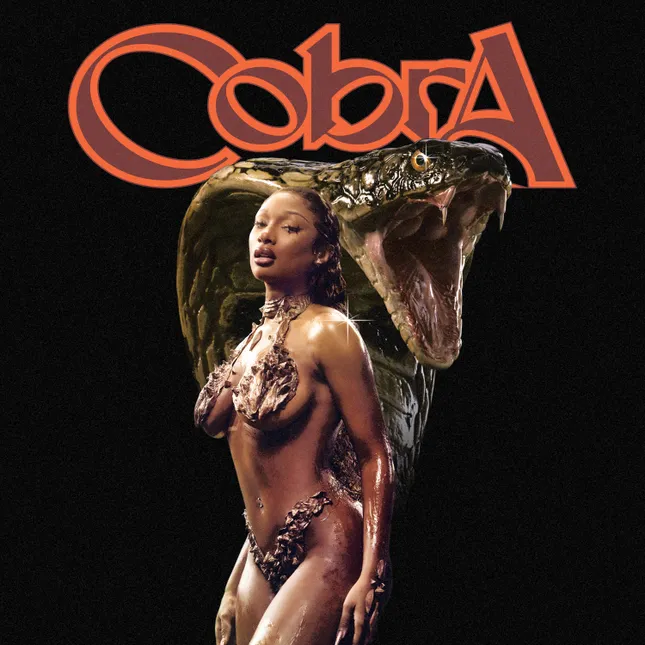 Album Artwork