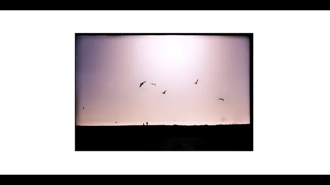 KIDS AND BIRDS / BAMBINI e GABBIANI