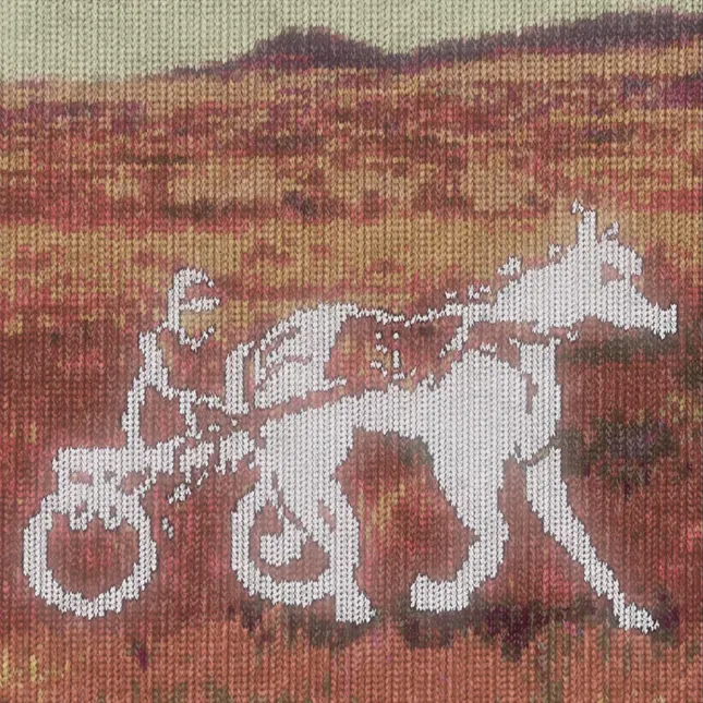 Siegelman Stable Motion